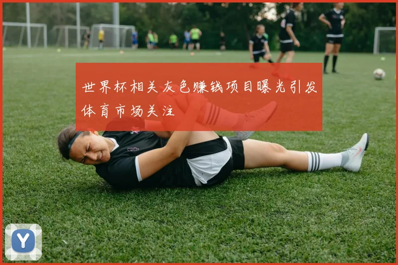 世界杯相关灰色赚钱项目曝光引发体育市场关注