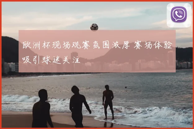 欧洲杯现场观赛氛围浓厚 赛场体验吸引球迷关注