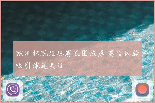 欧洲杯现场观赛氛围浓厚 赛场体验吸引球迷关注