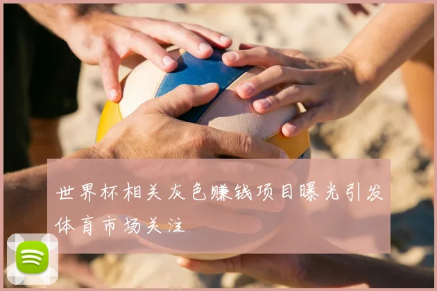 世界杯相关灰色赚钱项目曝光引发体育市场关注